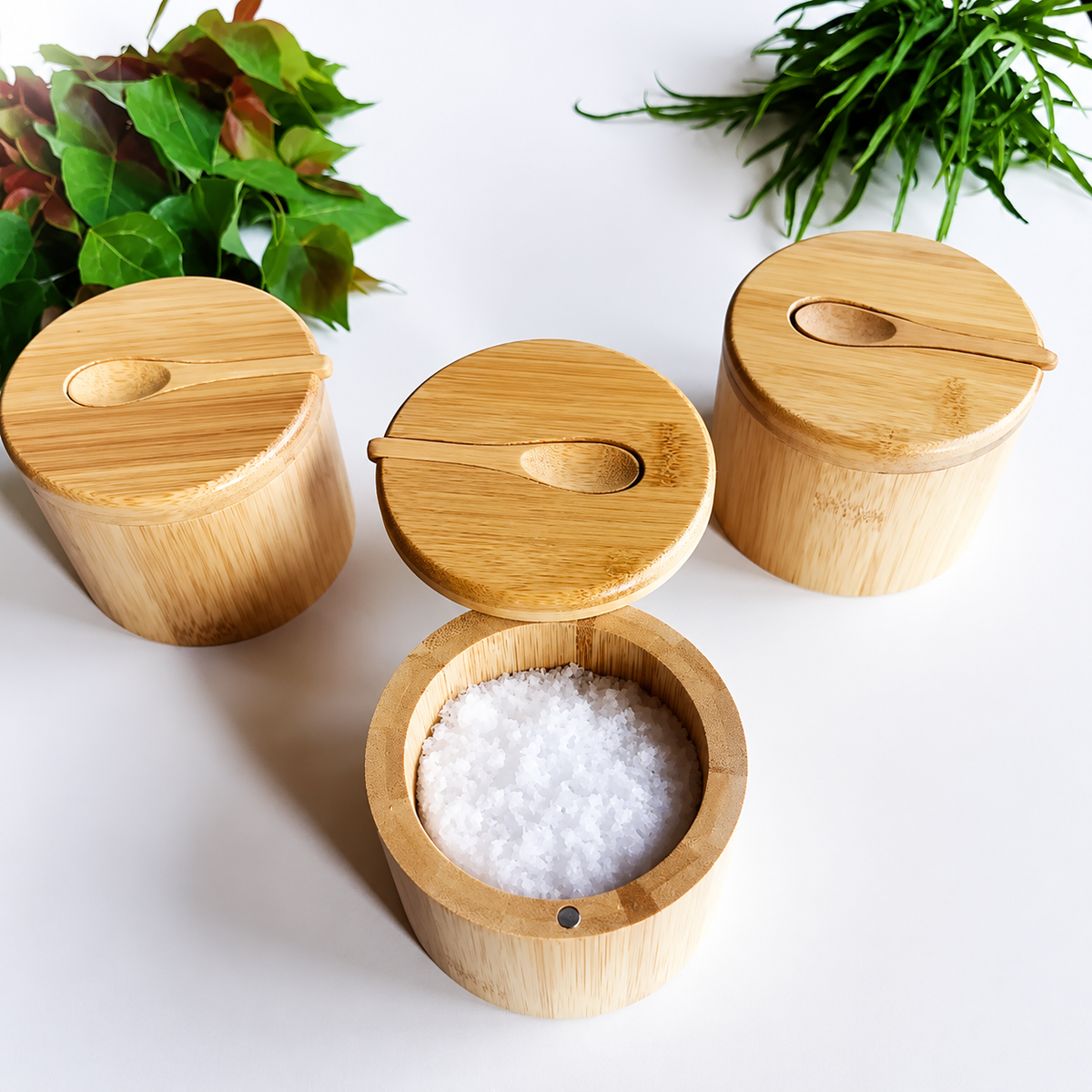 Bamboo Salt & Spice Cellar Set